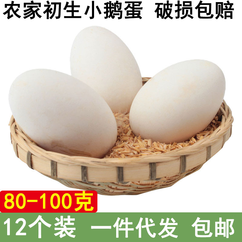 12枚装天然土鹅蛋农家散养鹅蛋新鲜鹅蛋天然孕妇月子食品80-100克|ms