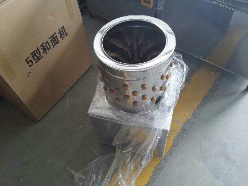 유형 30 메추라기