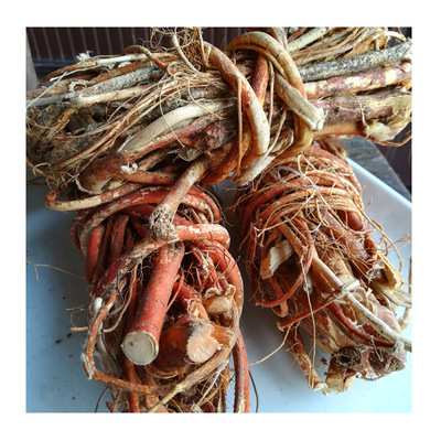 广西五指牛奶五指毛桃根煲汤药膳牛奶树根药材養生农家晒干