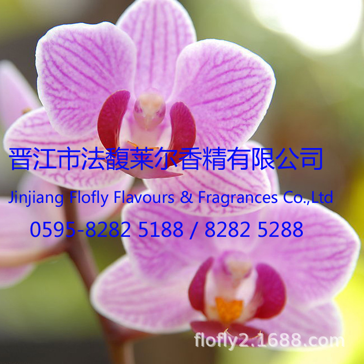紫罗兰香精，洋甘菊香精，兰花香精，等各种日化用途花香香精