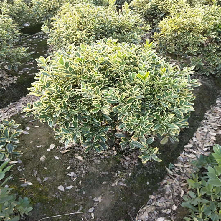 微信图片_20190924001014