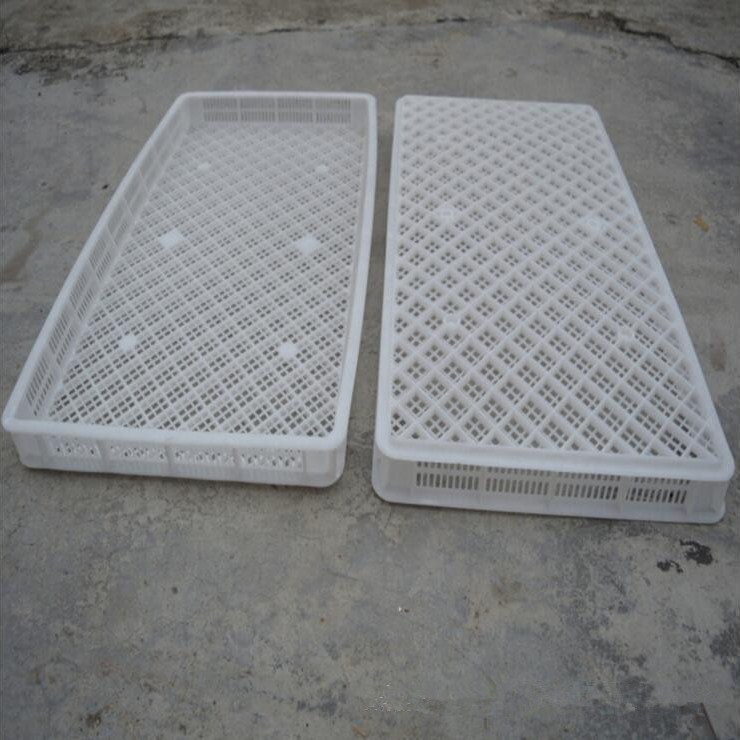 塑料烘干盘 云南草药晾晒盘 冷冻食品速冻盘 耐低温高温网格浅盘