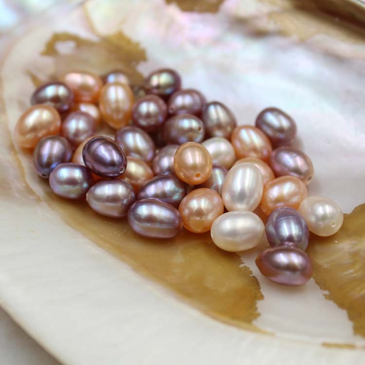 Fashion Solid Color Freshwater Pearl Plating Jewelry Accessories 1 Piece display picture 1