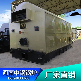 卧式DZL型卧式生物质自动链条蒸汽锅炉 卧式一吨燃煤生物质锅炉