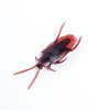 Halloween simulation cockroaches Torrent toys Tricked toys A scared cockroach cockroach soft material cockroaches wholesale