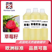 英国原厂进口北星草莓籽油身体按摩纯植物基础油现货原料批发