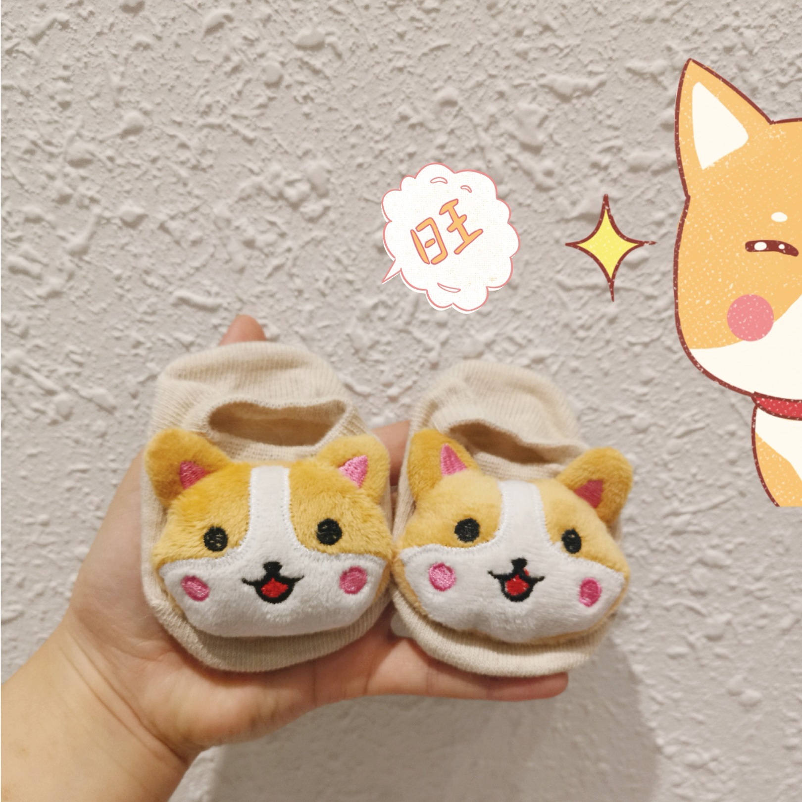 微信图片_20190429111926