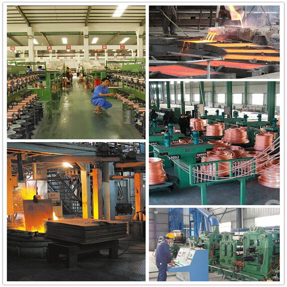 8778932943_867134049