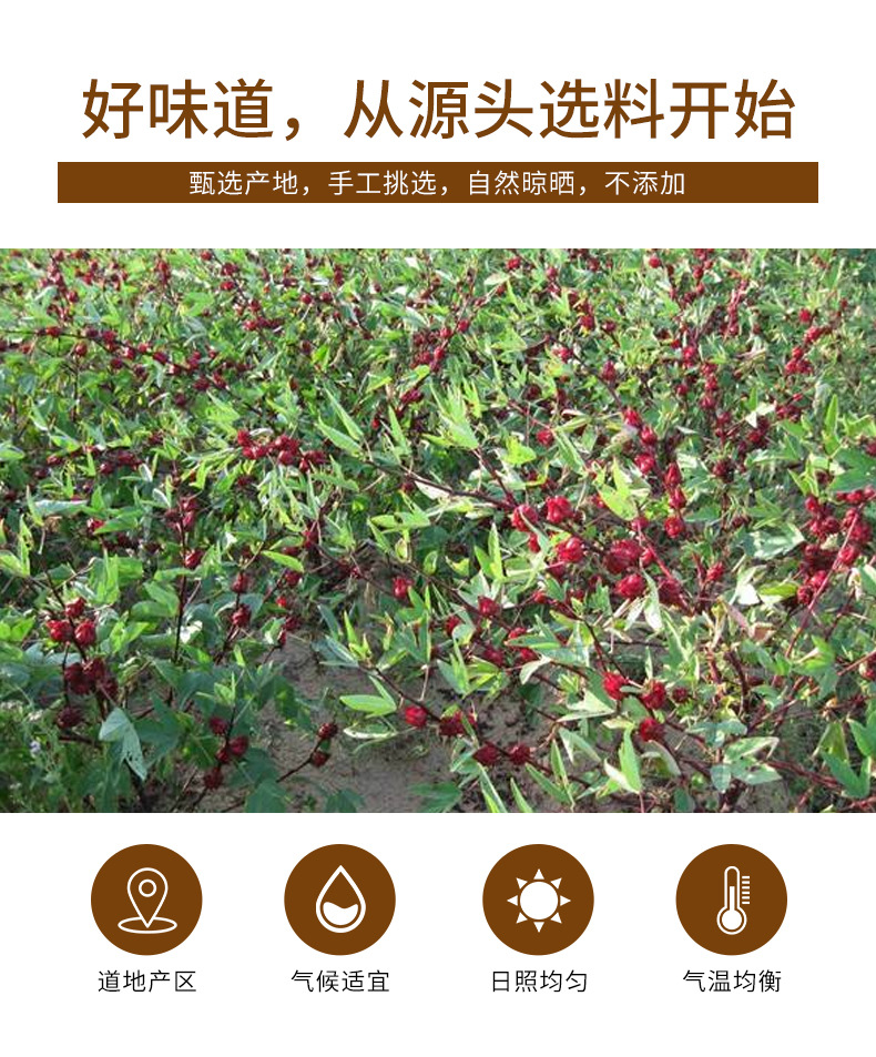 Roselle Hibiscus Flowers (Hibiscus sabdariffa) — Dried Luoshenhua Calyx Tea, 70g Jar key features