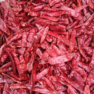 ���u���M�δ������е�����ӡ�ȳ��콷 ���ڼ�