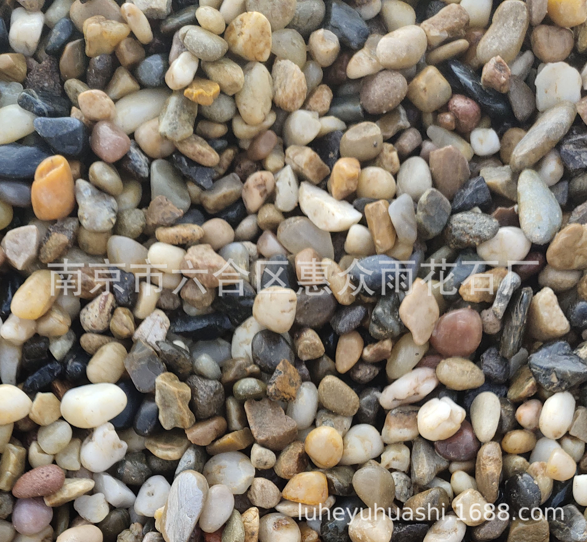 IMG_20190411_160820(1)