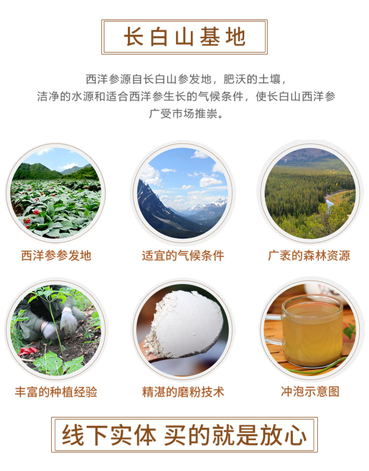 American Ginseng Powder Xi Yang Shen 100g Bottle Changbai Mountain Origin Ready-to-Use Herbal Supplement in use