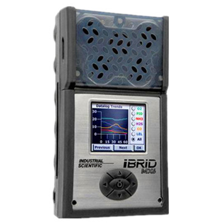 英思科 复合气体检测仪/MX6/MX6 iBrid