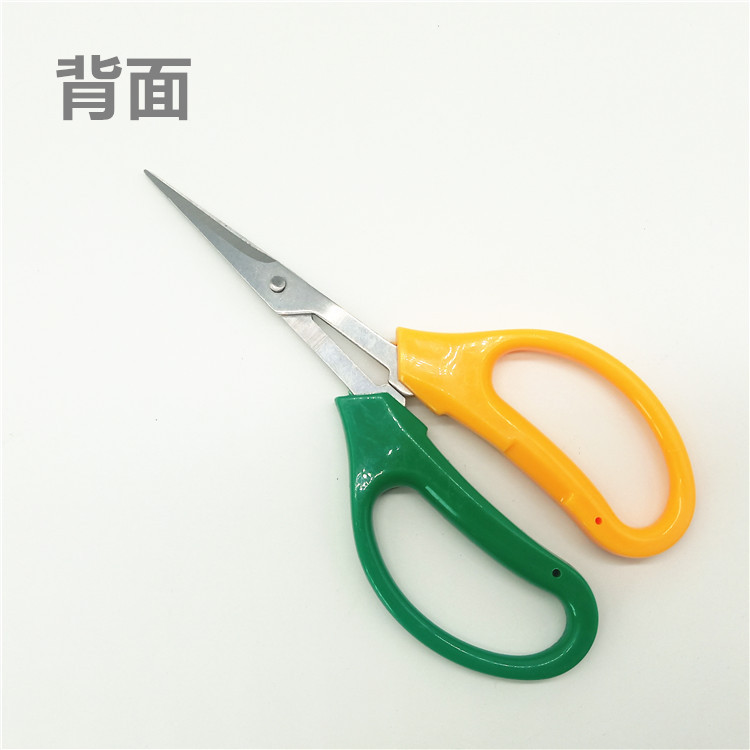 IMG20191012154822_副本