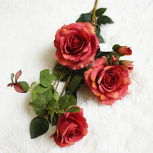 ^Wʽõ֦  ҾӔ[֦b@ˇֲkĻ