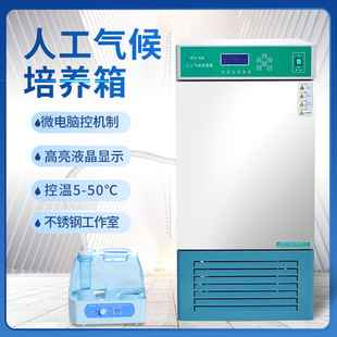 �������B�䌍��ҹ����� �˹�������B��lѿԇ��� ֲ�����L��