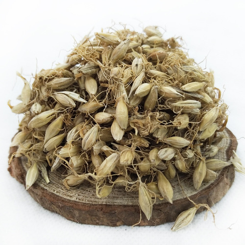 Full Malteus Raw Material Bulk 1kg Loose Packing Direct Supply Raw Malteus Qinxin Source TCM Wholesale