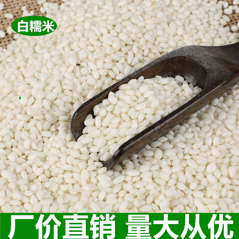 厂家直销散装粗粮批发农家自产粮食糯米五谷杂粮包粽子的白糯米|ms