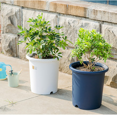 IRIS Alice Deepot Rose Clematis Resin Planter Alice Plastic Planter Hydrangea Root Control Planter