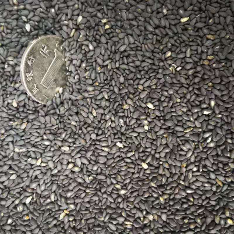 微信图片_20190720115435