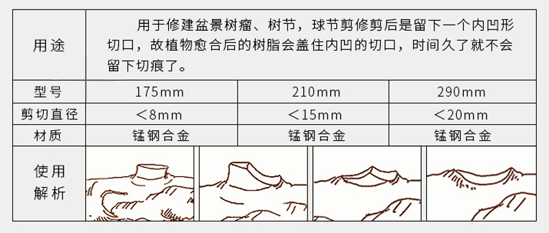 微信图片_20190213104036