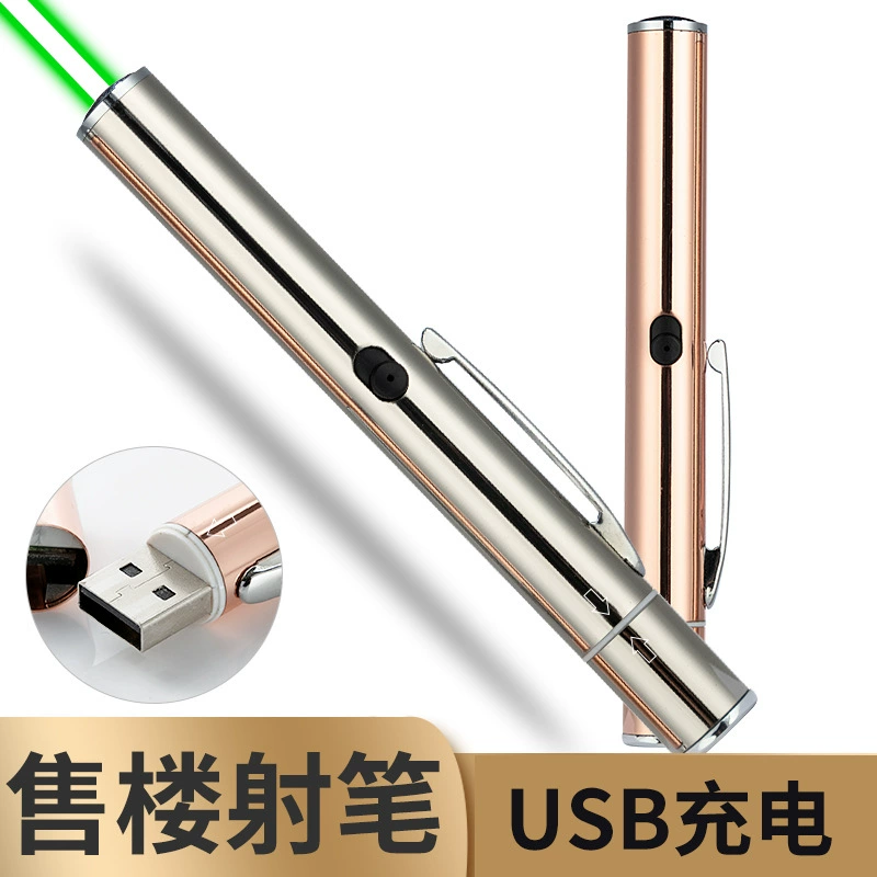 USB перезаряжаемый лазерный фонарик зеленый свет Удаленная съемка продажи песочный лоток индикатор съемки ручка проект команда лазерный фонарик