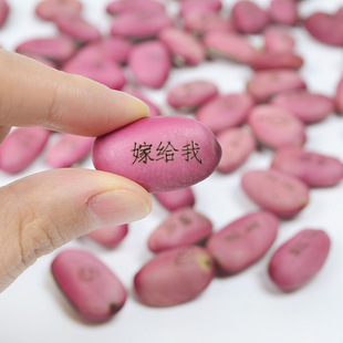 Yiwu Magic Bean Производитель прямой продажи Любовь волшебная фасоль красная фасоль магическая фасоль роман странные мини -растения