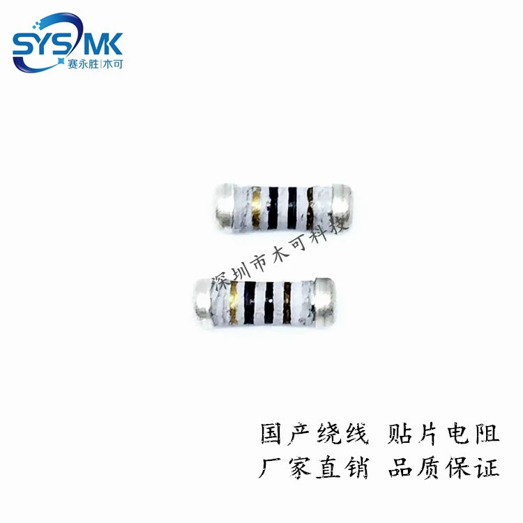 0 207 100R 5% патч-резистор 1/2 Вт 100 Ом 0,5 Вт цилиндрический патч-обмоточный резистор