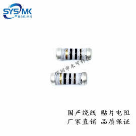 0207 100R 5% 贴片电阻 1/2W 100欧姆 0.5W 圆柱形 贴片绕线电阻