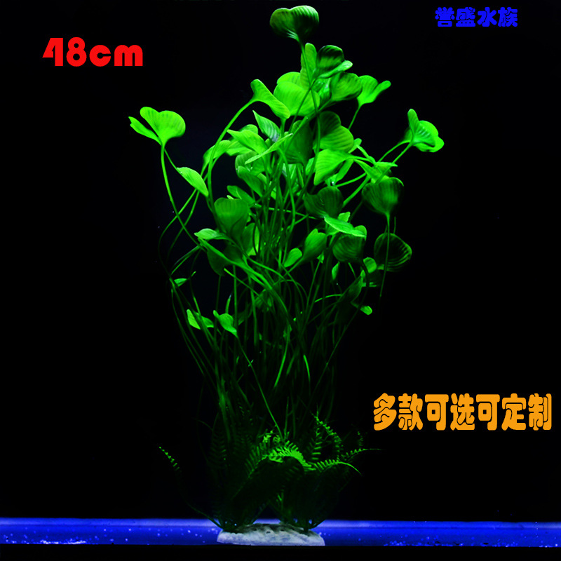鱼缸造景仿真水草装饰水草塑料水草懒人水草