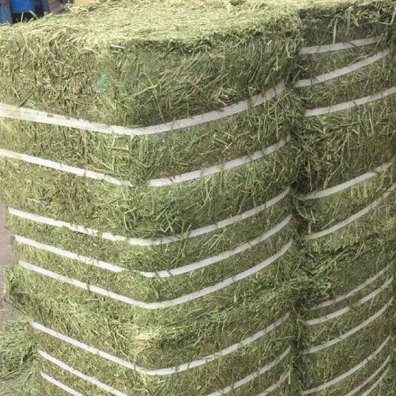 Spanish Alfalfa Bales, Alfalfa Pellets, Rich Nutrition, Good Palatability, High Protein, in Stock