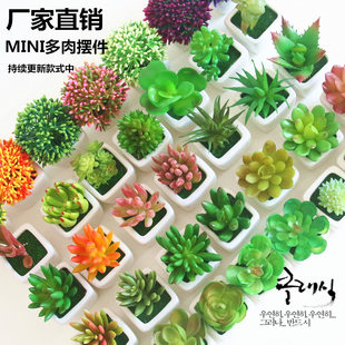 Mini simulation of succulent plants bonsai fake flower set decorative crafts decorative flower zakka white ceramics