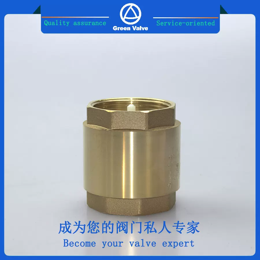 黄铜立式止回阀 塑料芯单向逆止阀 弹簧止回阀 Check Valve