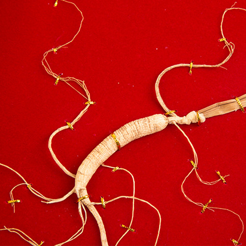 Deer Horn Slice Ginseng Gift Box, 7-10 Year Wild Mountain Ginseng Northeast Specialty Deer Horn Slice Manufacturer Wholesale Ginseng Gift