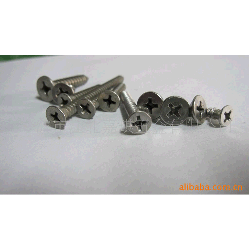 厂家供应 不锈钢304平头自攻螺丝 批发