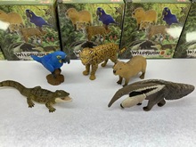 ������� 5��R�d�Ꭷ���� 1�� �W�^ �� �{�~ ʳρ�F ˮ�� �[��