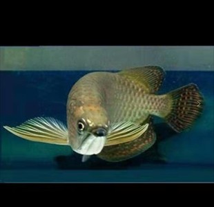 ���c�� �������c���~���w �������~ �����������^�p�~