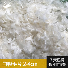 水洗白鸭毛片 2-4cm 清洁沙发枕芯床垫填充物原料羽毛批发