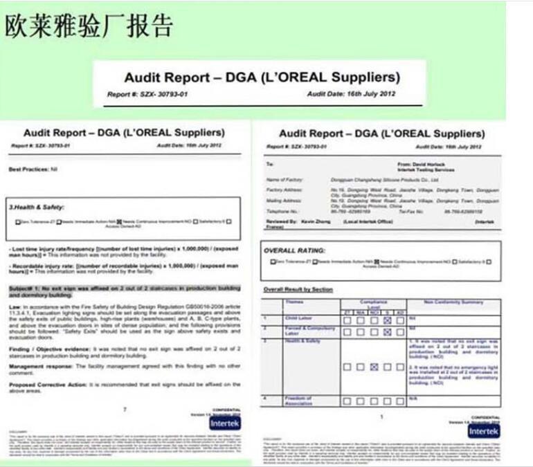 欧莱雅验厂报告
