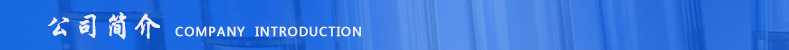 公司简介表头