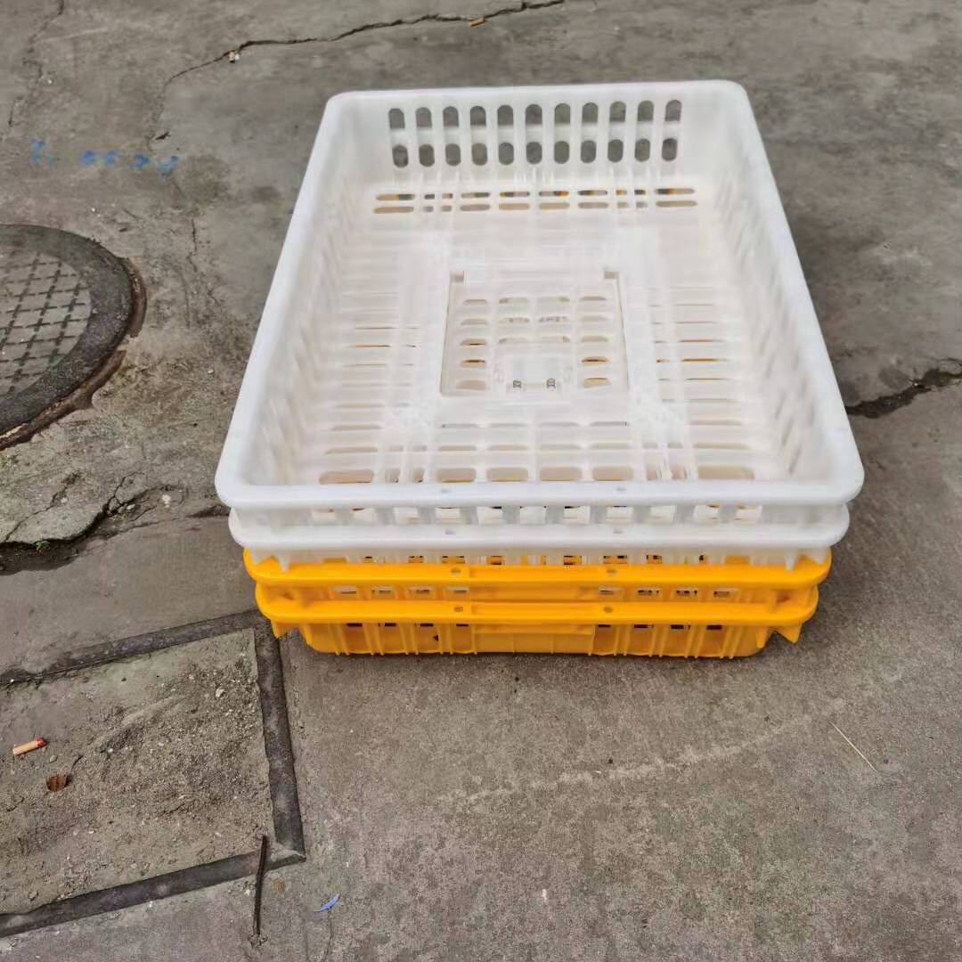 厂家生产加厚pp塑料鸡笼 家用养殖鸽子笼 鸡鸭运输胶框