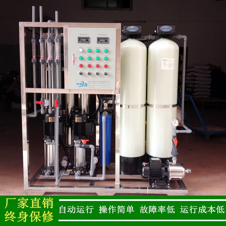 医药行业清洗容器用纯水设备 0.25双级反渗透纯化水设备 去离子水