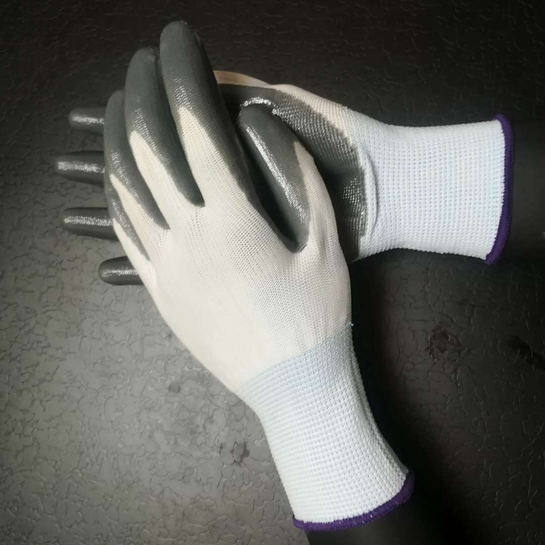 1af05489b9f58043ccbcb9cc8fd922