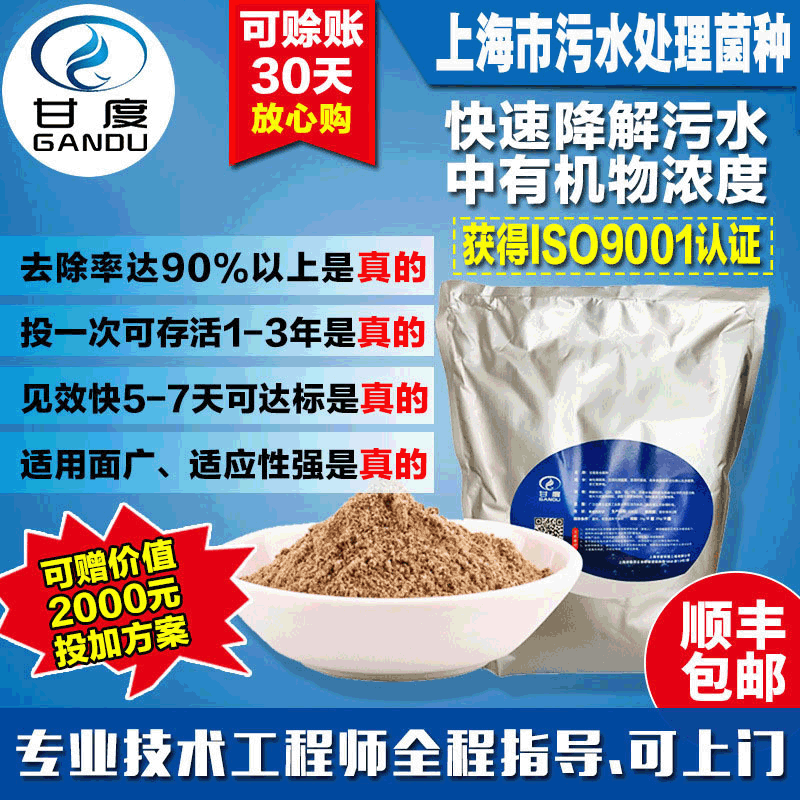 上海市污水处理菌种 硝化细菌污水处理菌种 微生物细菌氨氮去除剂