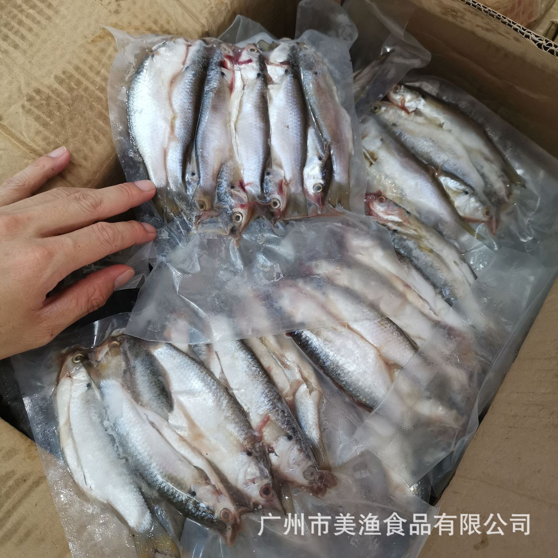冰冻海鱼哪些品种好,常见的冷冻海鱼,市场上常见冻鱼图片(第7页)_大山谷图库