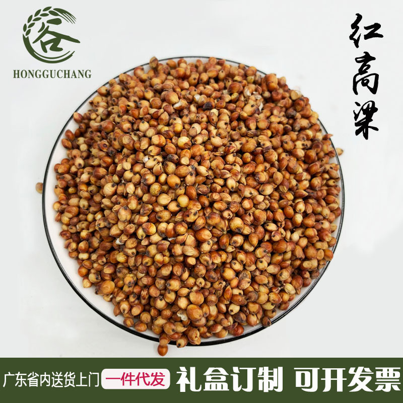 广东大量批发现货五谷杂粮高粱 袋装食品加工原料 高粱酿酒红高粱