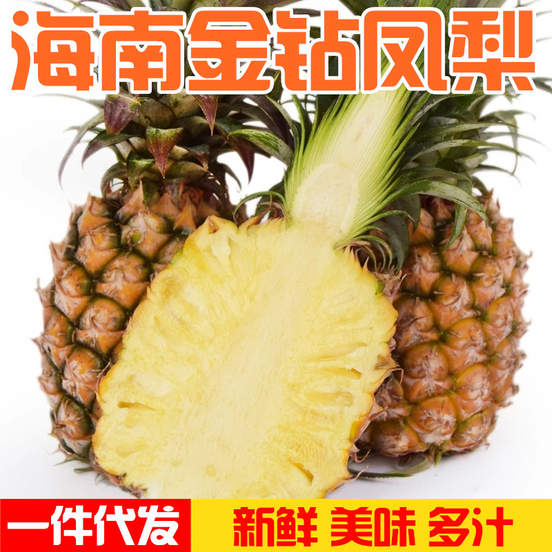 海南金钻凤梨当季新鲜水果手撕凤梨香水菠萝8斤批发一件代发