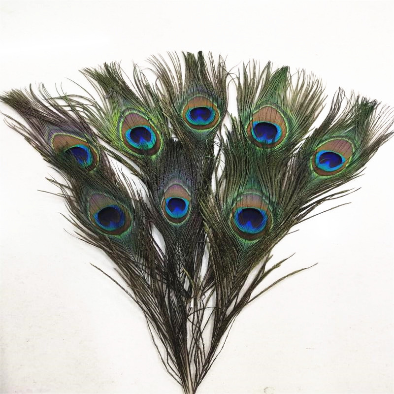 QQ图片20190411132832_副本