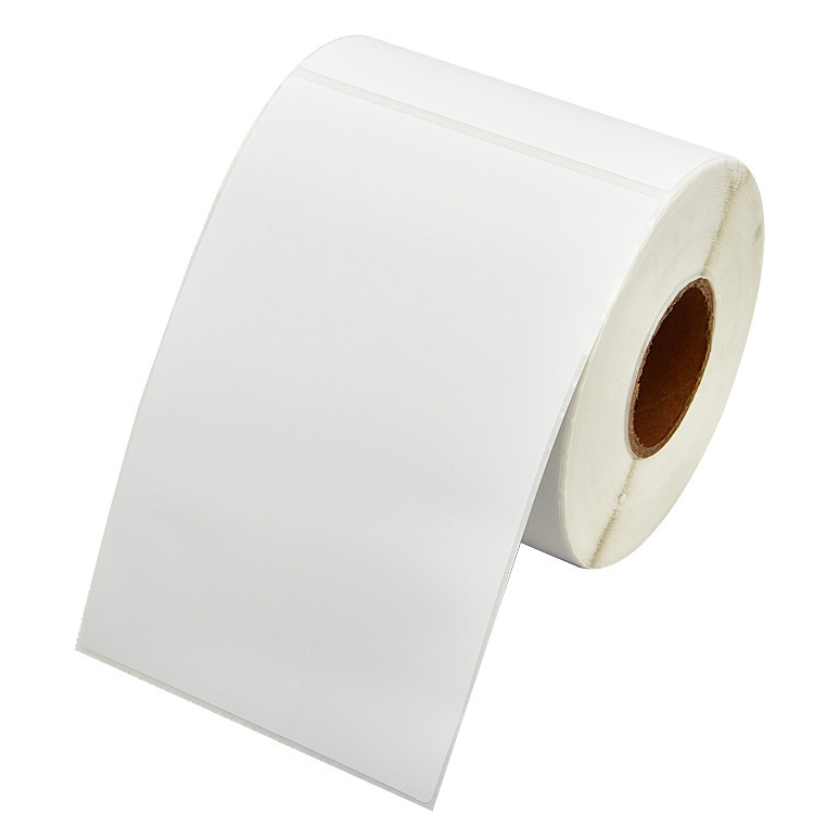 9192688648_796009372