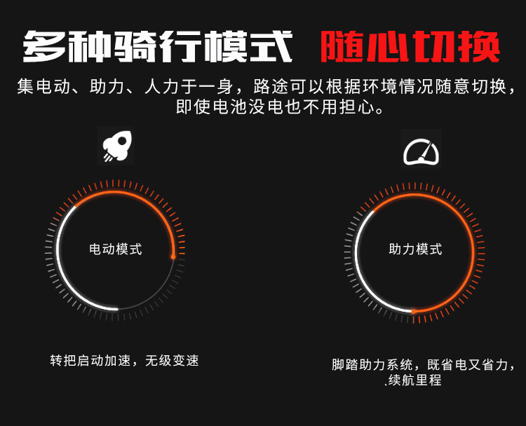 电动自行车,电动车 成人,电动车